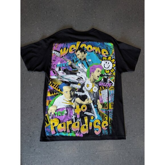 Backstock Co. Green Day Insomniac Dookie Welcome to Paradise Band Tee Shirt Sz L - Picture 1 of 4